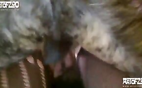 horny,sex with animal