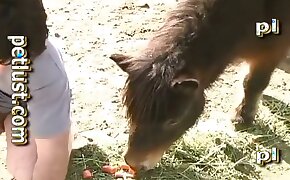animal porn,zoo porn videos