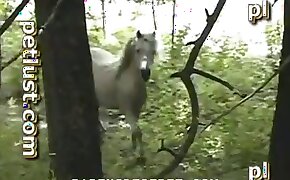 sex with animal,animal porn