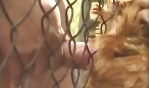 δωρεάν πορνό ζωολογικού κήπου