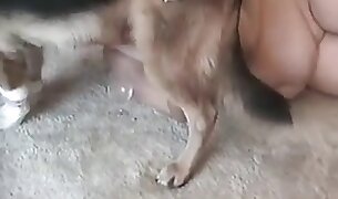 woman fucks animal