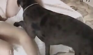 동물원 포르노 동영상