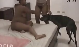 zoo porn videos