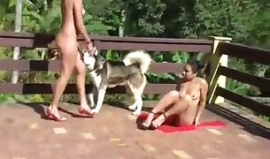 outdoors sex, bestiality
