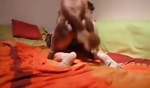 dog porn