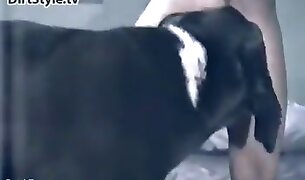 amateur bestiality