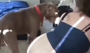 hardcore bestialitet