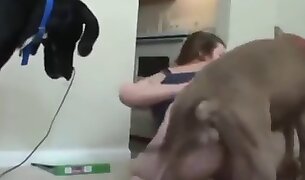 beštiálnosť posrané porno