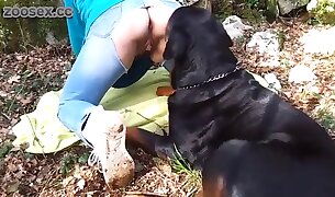 seks ze zwierzętami