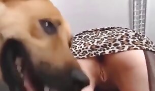 zoophilia fuck porn