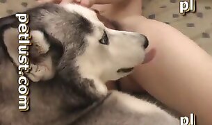 قصص الجنس حديقة الحيوان