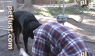 зоофилия трах порно