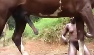horse porn