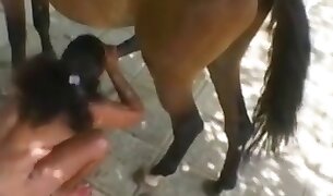 horse porn