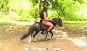 animal fucks girl