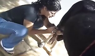 cock sucking