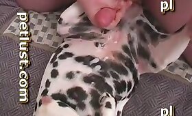 dyrefuck porno, hunde dyresex