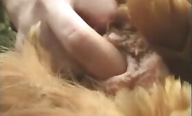 免费的动物色情, 野兽派电影
