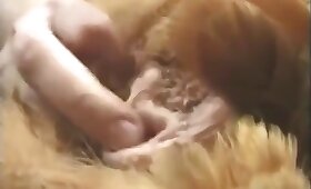 chicken fuck, video with zoofilia