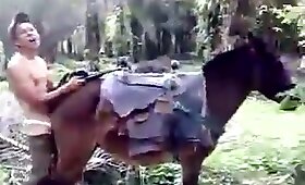 guy fucks animal, mare with man