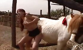동물원 포르노, 빨간 머리