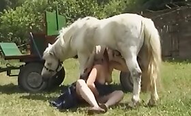 cheval baise porno, les gens qui aiment la bestialité