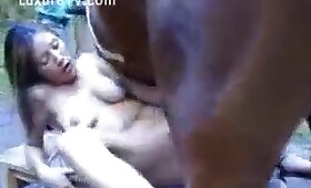 pony porn, zoofilia porn