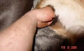 gay animal porn, bestiality with fisting