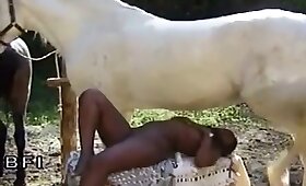 outdoors animal fuck, horse fuck porn
