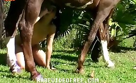 animal cock, horse fuck porn