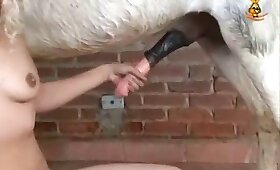 poni porno, zoofilia porno