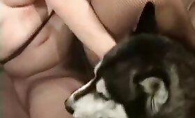 bestiální sex, psí zvíře sex