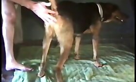 ज़ोफिलिया के साथ वीडियो, आदमी जानवर चोदता है