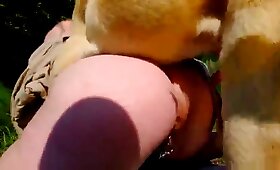 outdoors animal fuck, dog animal sex