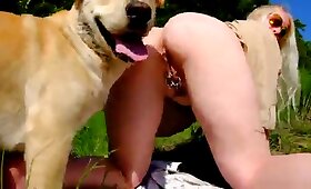 outdoor, dog animal sex