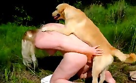 hunde dyresex, hd zoofilia-videoer