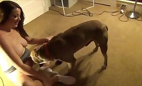 close up zoophilia videos, zoofilia porn