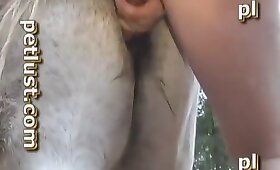 video con zoofilia, cazzo di cavallo porno