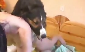 bestiality sex, video with zoofilia