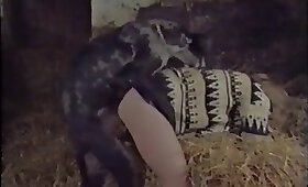 bestiality sex, free animal porn