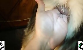 dog animal sex, zoo fucking videos