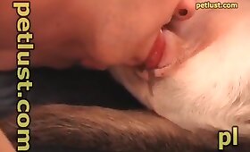 köpek hayvan seks, hayvanlarla cinsel ilişki