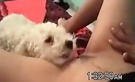 free animal porn, oral zoofilia