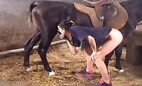 zoo fucking videos, brunette and pet