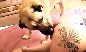 woman and animal, zoofilia porn