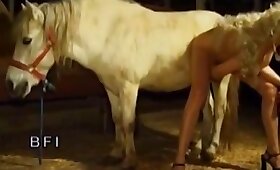 free bestiality videos, sexy zoophilia