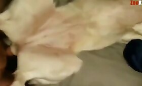 video with zoofilia, free animal porn