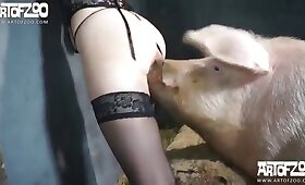 bestiality sex, zoophilic love