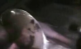 beastiality movies