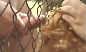 animal cock, zoofilia porn